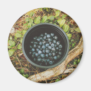 Íman Wild Blueberry Picking
