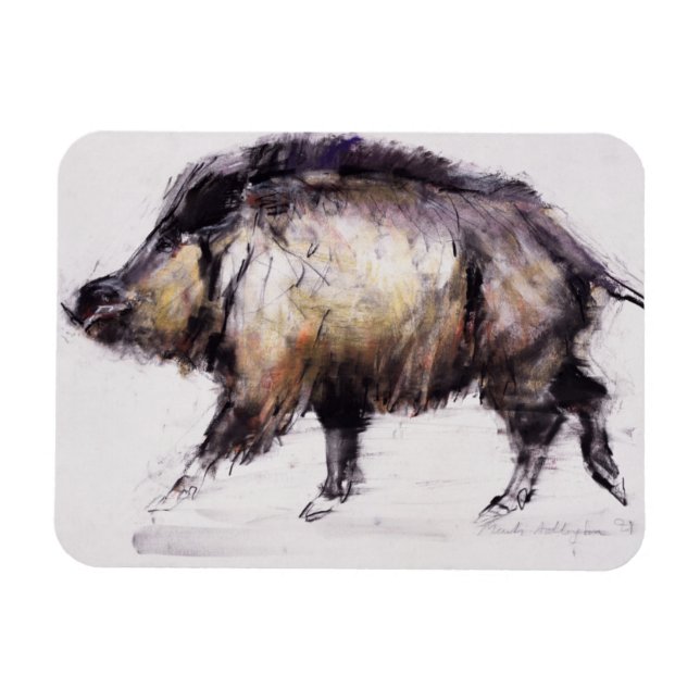 Íman Wild Boar 1999 (Horizontal)