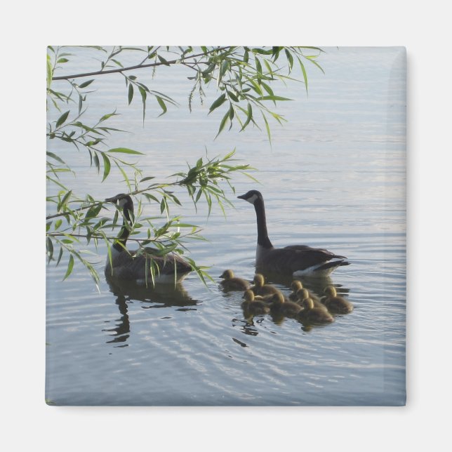 Íman Wild Geese Magnet (Frente)