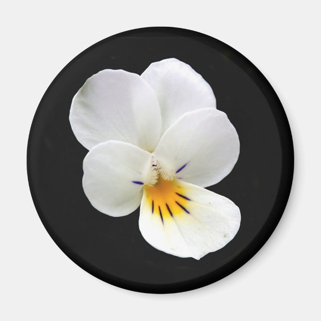 Íman Wild Pansy Magnet (Frente)