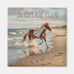 Íman Wild Pony em Chincoteague Island Virginia Viagem