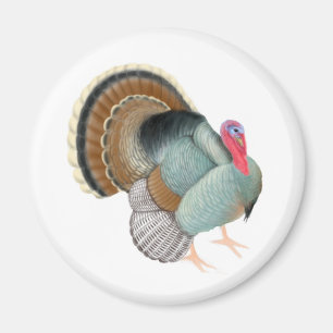 Íman Wild Turkey Magnet
