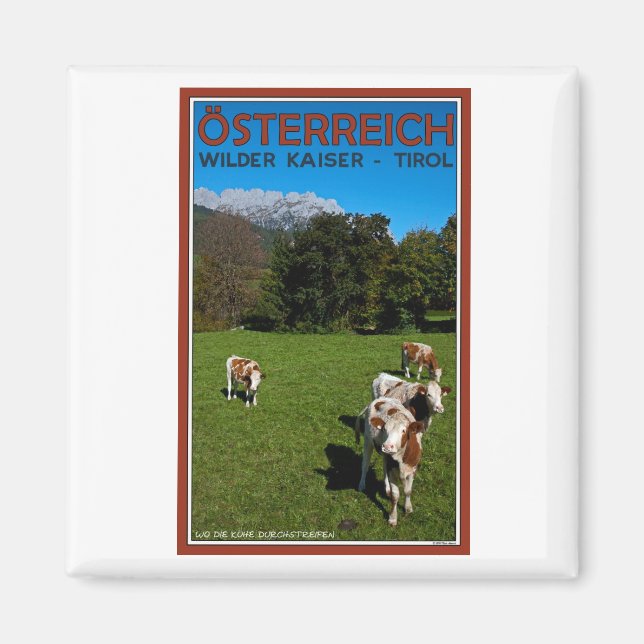 Íman Wilder Kaiser - Vacas (Frente)