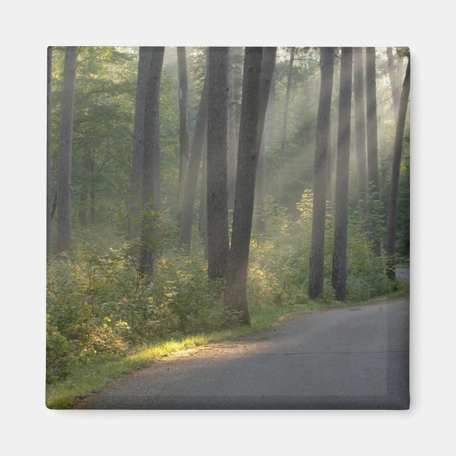 Íman Wilderness Drive, Parque Estadual de Itasca, (Frente)