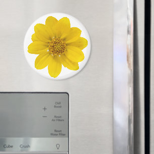 Íman Wildflower amarelo