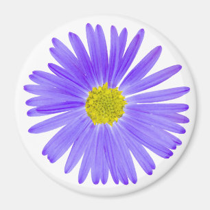 Íman Wildflower roxo