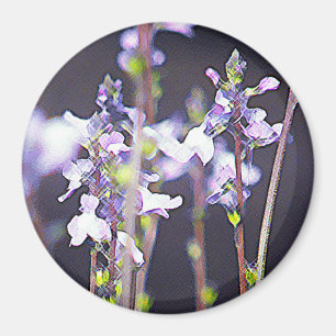 Íman Wildflowers