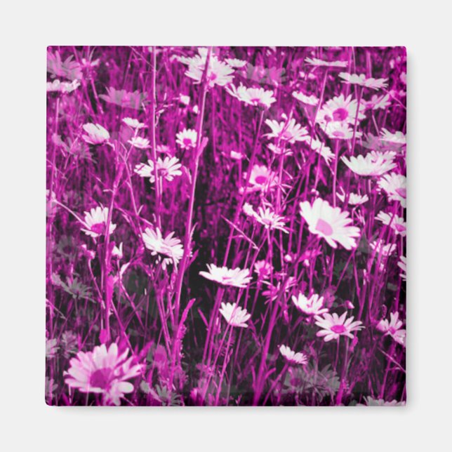 ÍMAN WILDFLOWERS (Frente)