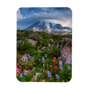 Íman Wildflowers