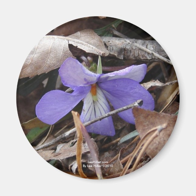 Íman WildFlowers Birds-Foot Violet Hot Primaveras AR Pr (Frente)