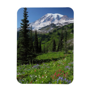 Íman Wildflowers no Monte Rainier