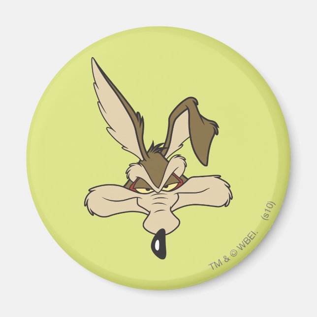 Íman Wile E. Coyote Atirou Na Cabeça (Frente)