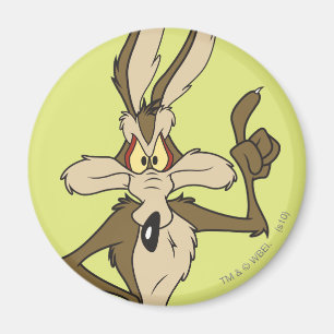 Íman Wile E. Coyote de altura em pé