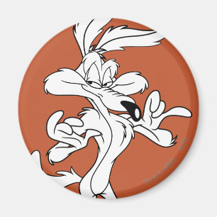 Íman Wile E. Coyote Parece Agradável