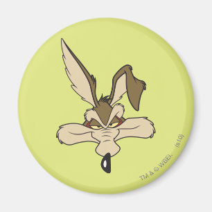 Íman Wile E. Coyote Tiro na Cabeça Satisfeito
