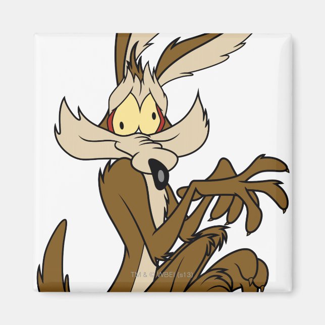 Íman Wile E. Derp Coyote (Frente)