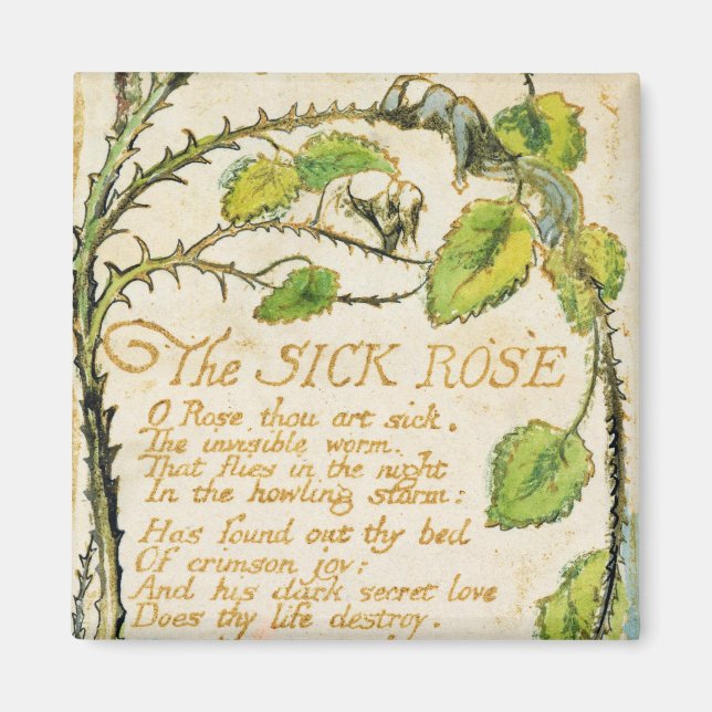Íman William Blake | Rosa Doente, Canções de Innoc (Frente)