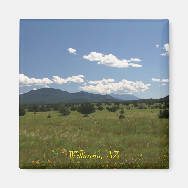 Íman Williams AZ (Frente)