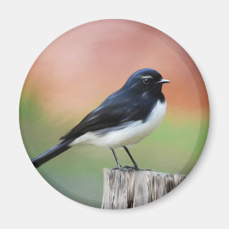 Íman Willy Wagtail - Arte sobre aves australianas
