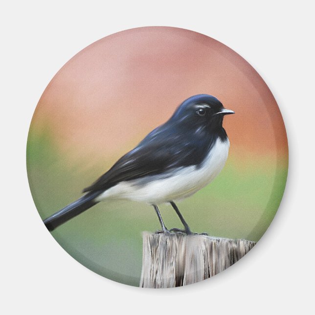 Íman Willy Wagtail - Arte sobre aves australianas (Frente)