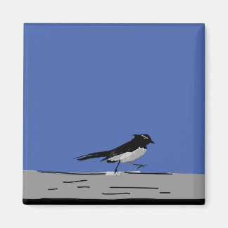 Íman Willy Wagtail Magnet