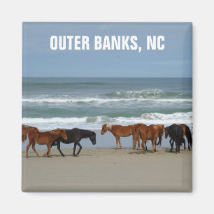 Íman Wils Horses Outer Banks OBX Carolina do Norte