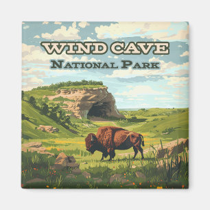 Íman Wind Cave National Park Bison South Dakota