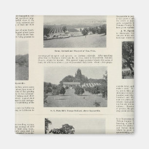 Íman Windsor, Califórnia