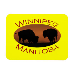 Íman Winnipeg