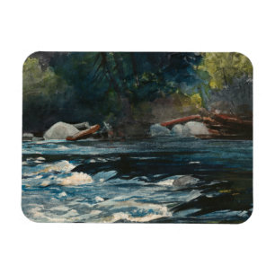 Íman Winslow Homer - Os Rapids, Rio Hudson