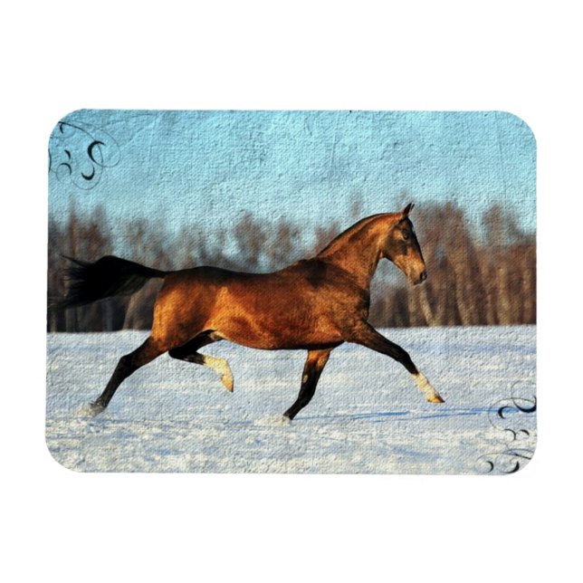 Íman Winter Akhal-teke (Horizontal)