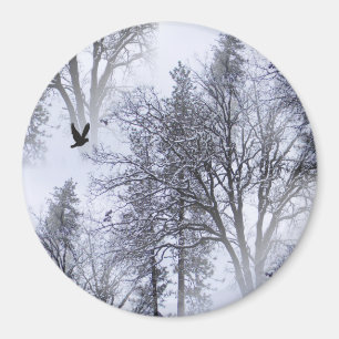 Íman Winter Raven...