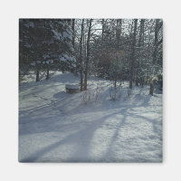 Winter Sunrise