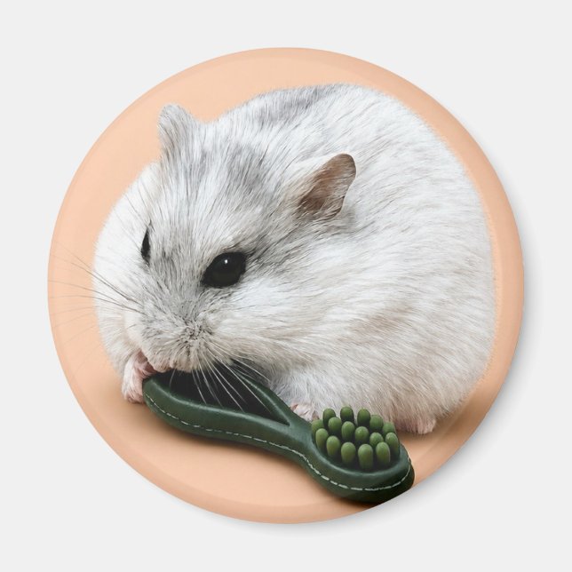 Íman Winterberry o hamster mascando um brinquedo de mas (Frente)