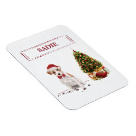 Íman Wire Haired Jack Russell Engraçado Cachorro de Nat