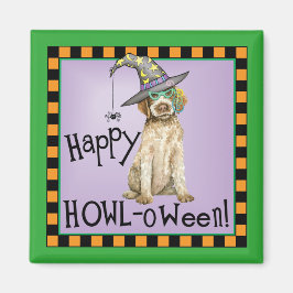 Íman Wirehaired Pointing Griffon Witch