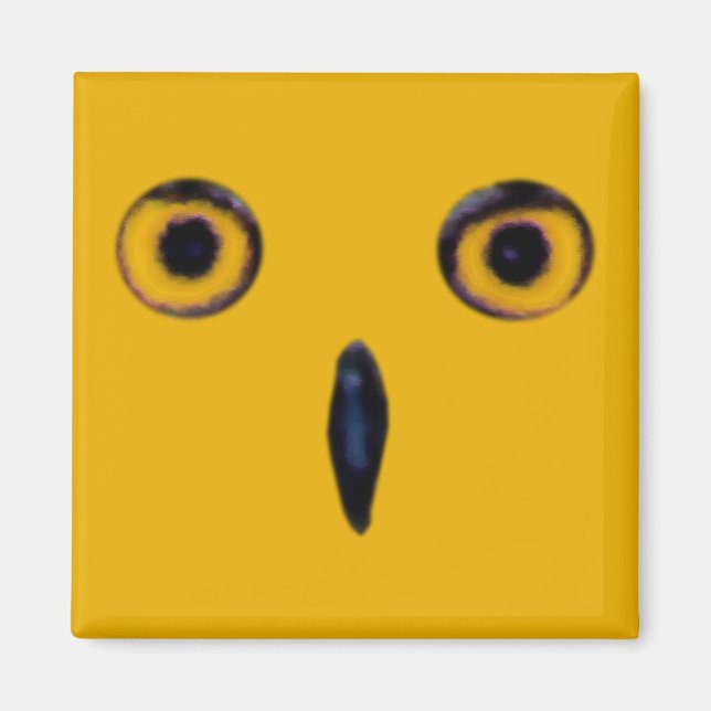 Íman Wise Old Owl Eyes (Frente)