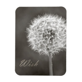 Íman Wish Dandelion inspirado