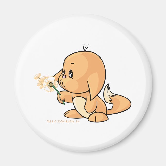 Íman Wishing orange Kacheek (Frente)