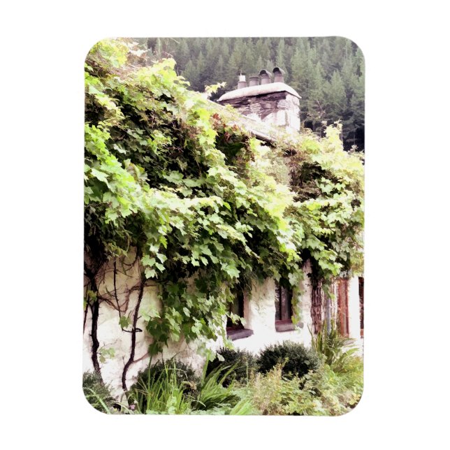 ÍMAN  WISTERIA COTTAGE (Vertical)