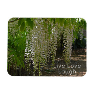 Íman Wisteria White Garden Flowers Live Love Laugh