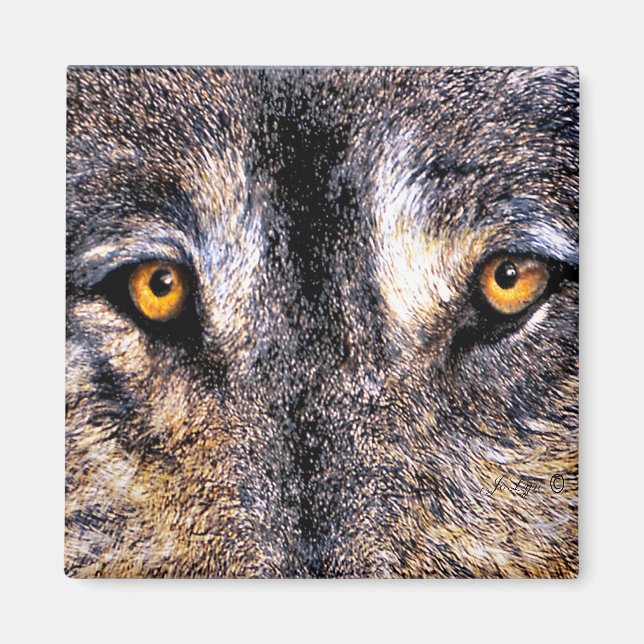 Íman Wolf Eyes Magnet (Frente)