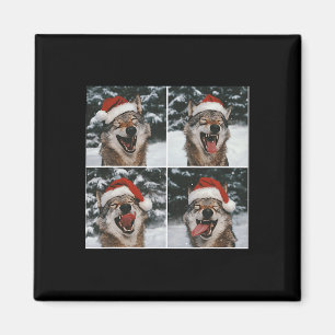 Íman Wolf Winter Fotografia Wolf Conservation Christma