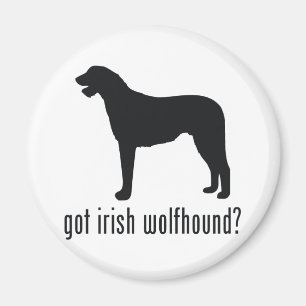 Íman Wolfhound irlandês