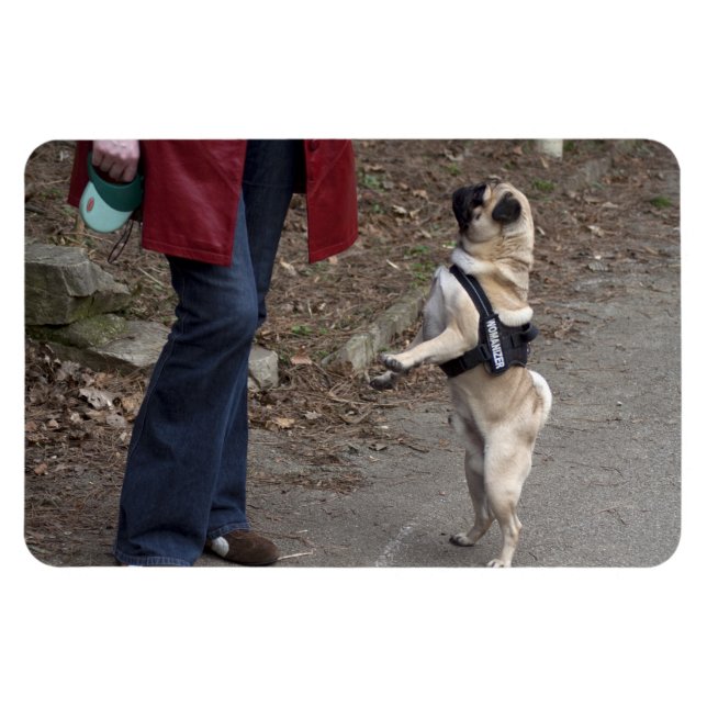 Íman Womanizer (Horizontal)