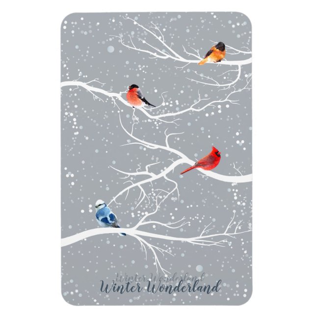 Íman Wonderland (Vertical)
