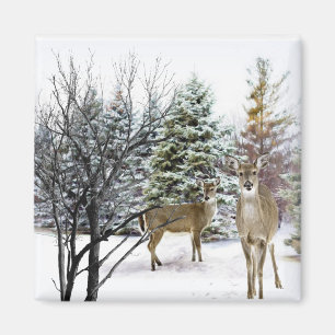 Íman Wonderland de inverno com Whitetail Deer Fridge