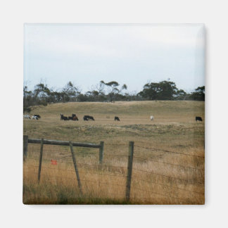 Íman Wonthaggi