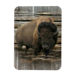 Íman Wood Bison