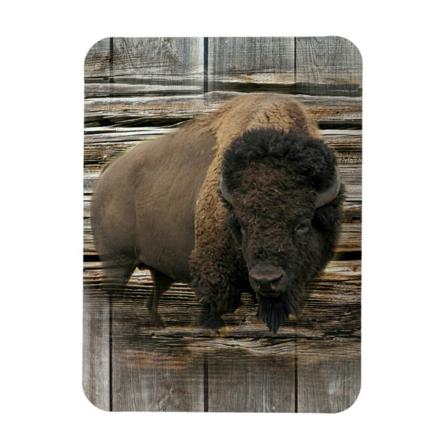 Íman Wood Bison (Vertical)